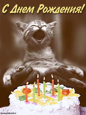 /postcardimages/birth_friends/1008620289_1.jpg