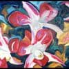 orchids_m.jpg