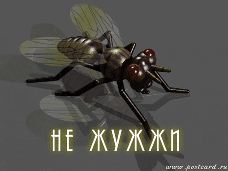 /postcardimages/humor_enemy/fly5.gif