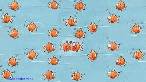 /postcardimages/love_sim/982186053_aquarium.jpg