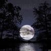 1009460250_luna2.jpg