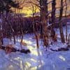 1042105510_winter.jpg